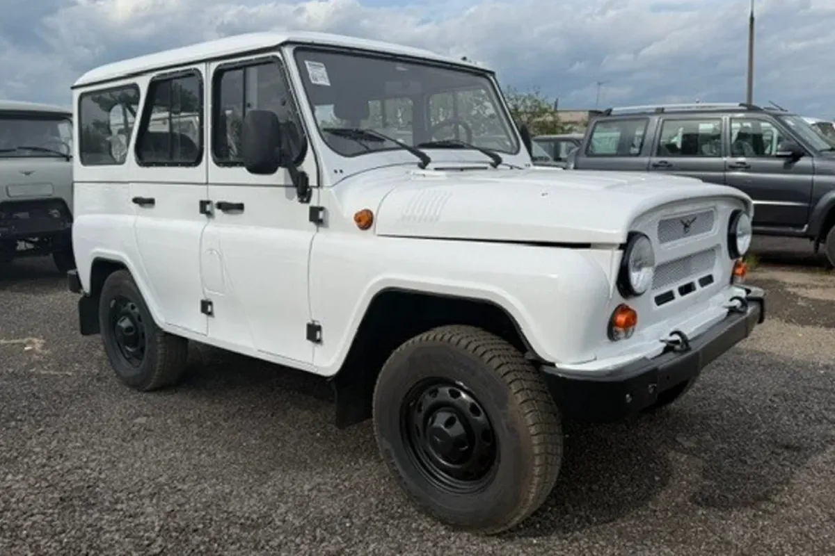 Лайв